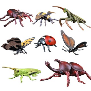 ราคาขายส่ง 11pcs แบบจำลองแมลง Insect model