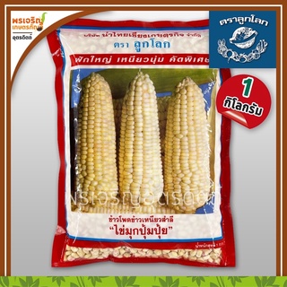เมล็ดพันธุ์ ข้าวโพดข้าวเหนียวขาว ไข่มุกปุ้มปุ้ย (1 กิโลกรัม) เมล็ดข้าวโพดข้าวเหนียวสำลี เมล็ดพันธุ์ผักสวนครัว ตราลูกโลก
