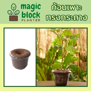 Magicblock กถ.-1 ก้อนเพาะปลูกมหัสจรรย์ทรงกระถาง ขนาด กว้าง 13.5 x สูง 11.5 ซม.