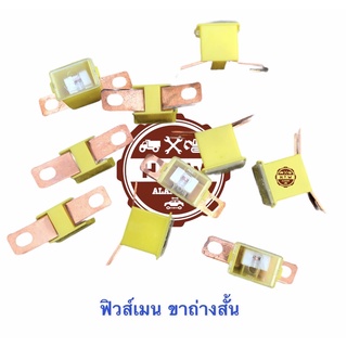 ฟิวส์เมน ขาถ่างสั้น , ถุง 10 ตัว 300 บาท