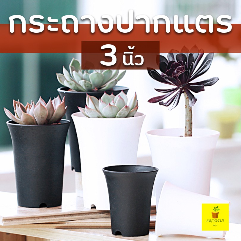 กระถางปากแตร 3" (3นิ้ว) พลาสติกทรงสูง ใส่แคคตัส กระบองเพชร