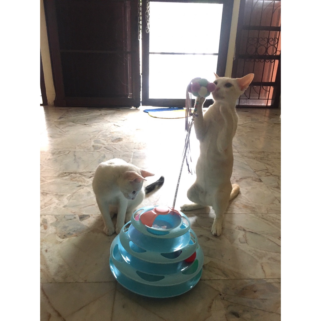 🌵 รางบอลแมว4ชั้น ของเล่นแมว รางบอลแมว จานเสียงแมว ด้วยขนนก สามารถหมุนได้ 360 องศา 🌵 - รูปที่ 3