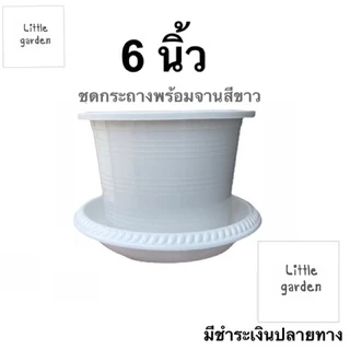 Little ชุดกระถางพร้อมจาน 6 นิ้ว