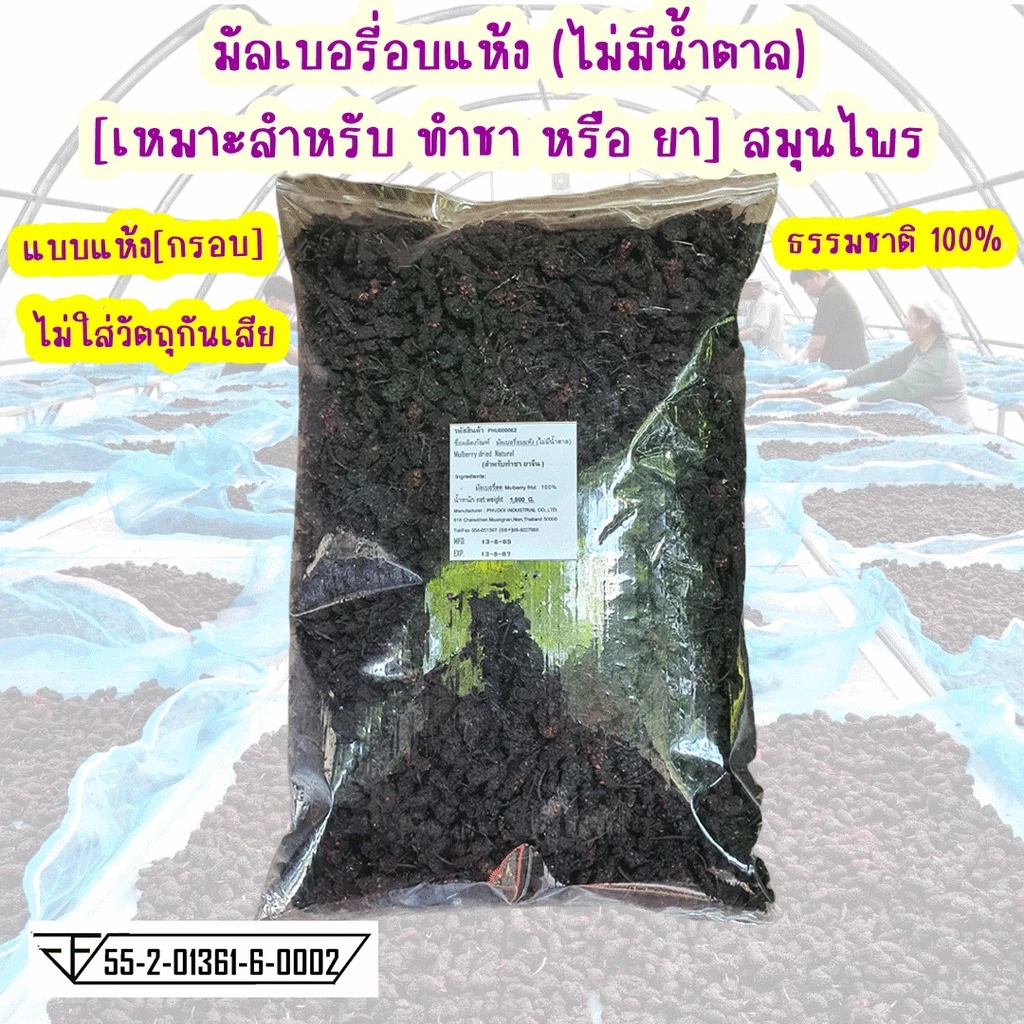 มัลเบอรี่ ลูกหม่อน อบแห้ง Mulberry dried ทำชาหรือยา สมุนไพร แห้งกรอบ ไม่มีน้ำตาล ไม่ใส่วัตถุกันเสีย ธรรมชาติ100%[ภูดอย]