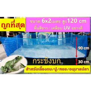 กระชังบก ขนาด 6 x 2 เมตร ยกขอบสูง 120 cm