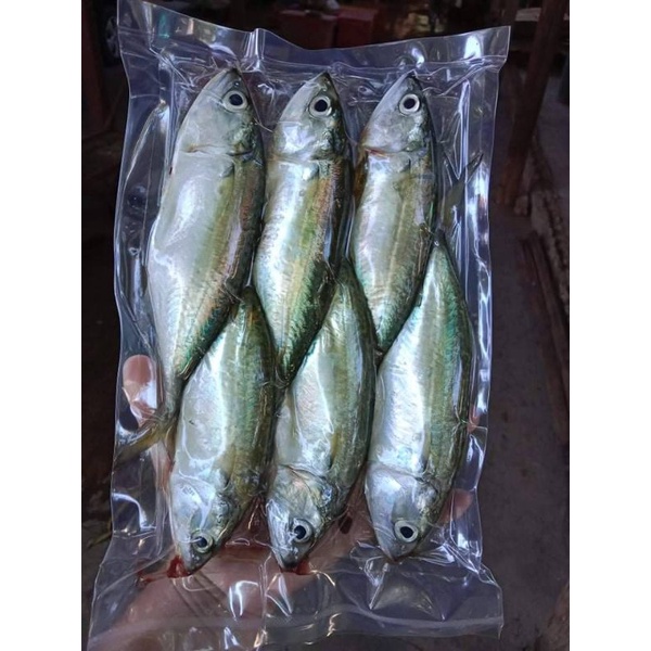 ปลาทูสดๆ450กรัม(ควักใส้ออกเเล้ว)ขนส่งเเบบเเช่เย็นส่งทั่วประเทศ