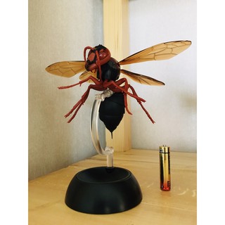 โมเดลจิ้กซอลแตน สวย เนียบ ละเอียดตาม insect anatomy แท้