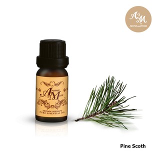 Aroma&amp;More Pine (Scotch Pine) Essential Oil 100% น้ำมันหอมระเหยไพน์ สก็อต 100%,บัลกาเรีย/Bulgaria 10/30ML