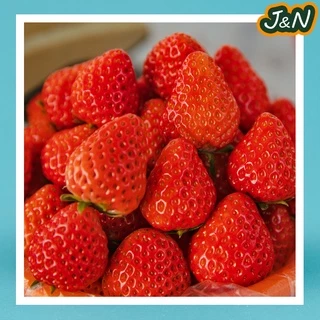 [ลดแรง🔥] สตอเบอรี่อบแห้ง สตอเบอรี่ ไม่มีน้ำตาล 🍓 Dried Strawberry ผลไม้อบแห้ง 100g./500g.
