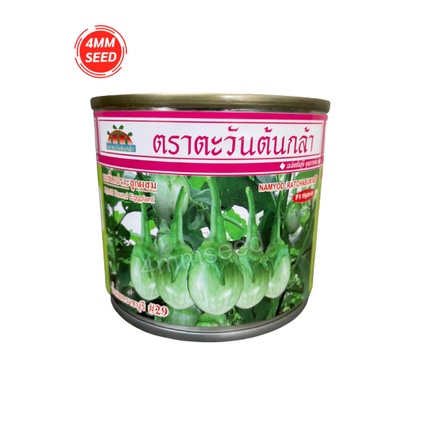 มะเขือเปราะราชบุรี 29 ขนาด 20 กรัม ทรงหยดน้ำ ติดผลดก เก็บได้นาน