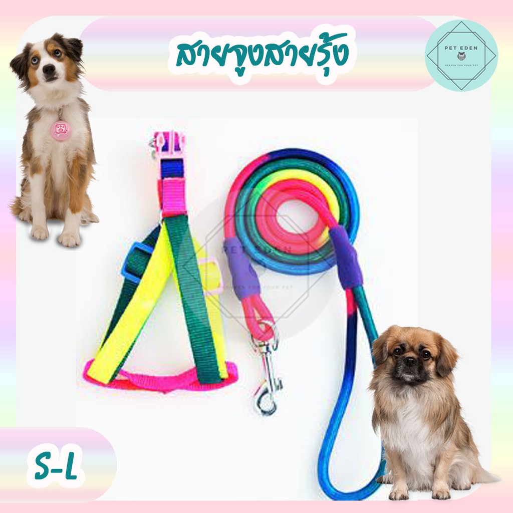สายจูงสุนัข Rainbow Leash Dog หมา แมว สัตว์เลี้ยง แบบกลม