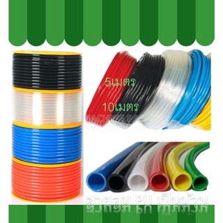 สายลม 8X5  สายลม 8X5