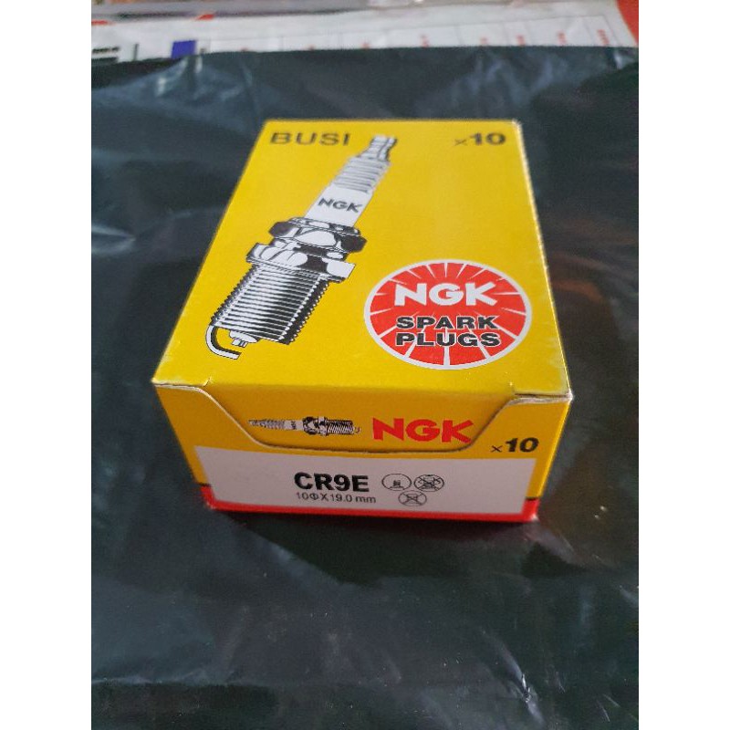 NGK CR9E SPARK PLUG*