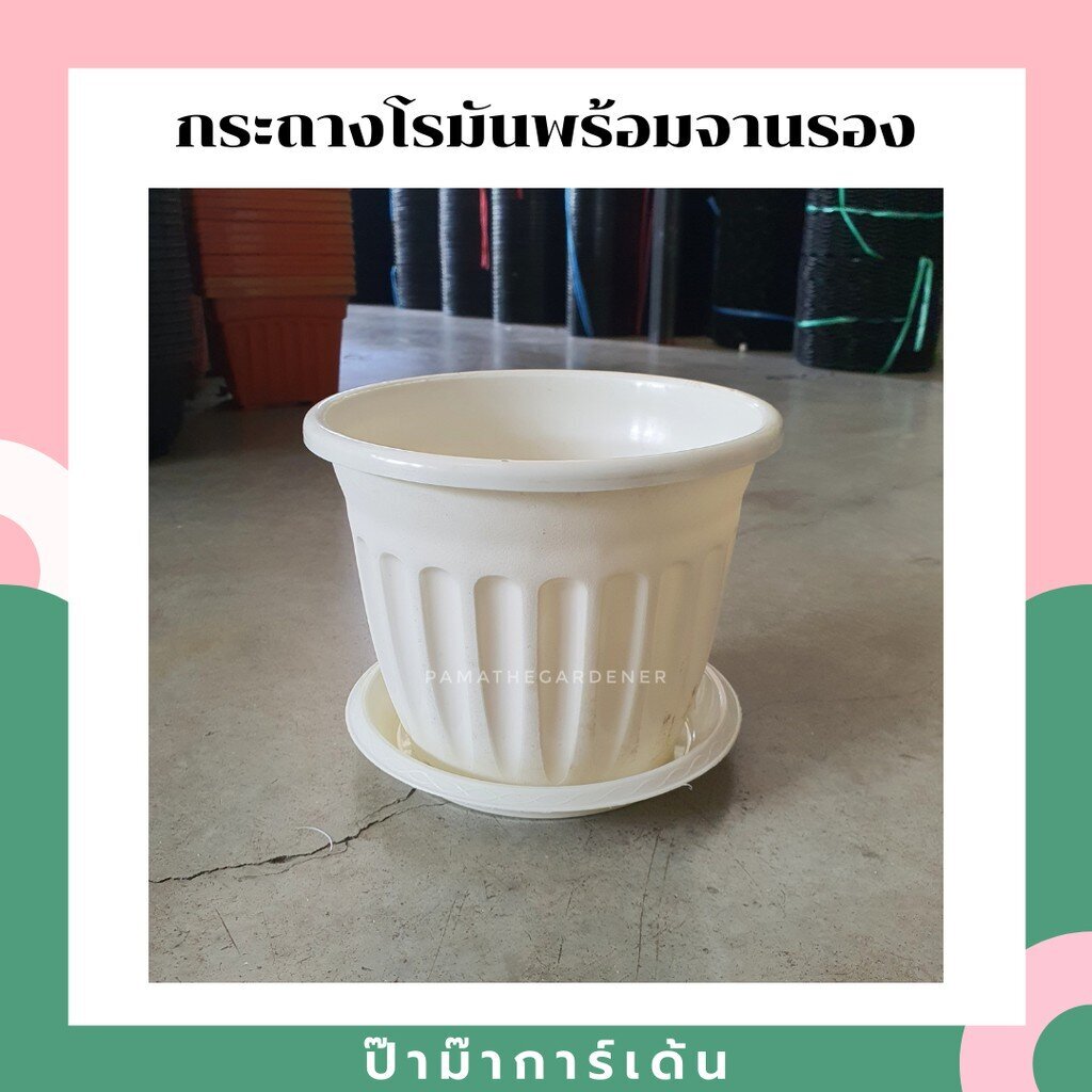 กระถางพลาสติกสีขาวสไตล์โรมันขนาด 8 นิ้ว