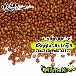 ถั่วลิสง เยื่อแดง โรยเกลือ ขนาด 500 กรัม พร้อมรับประทาน ถั่วลิสงลอกเปลือกโรยเกลือ