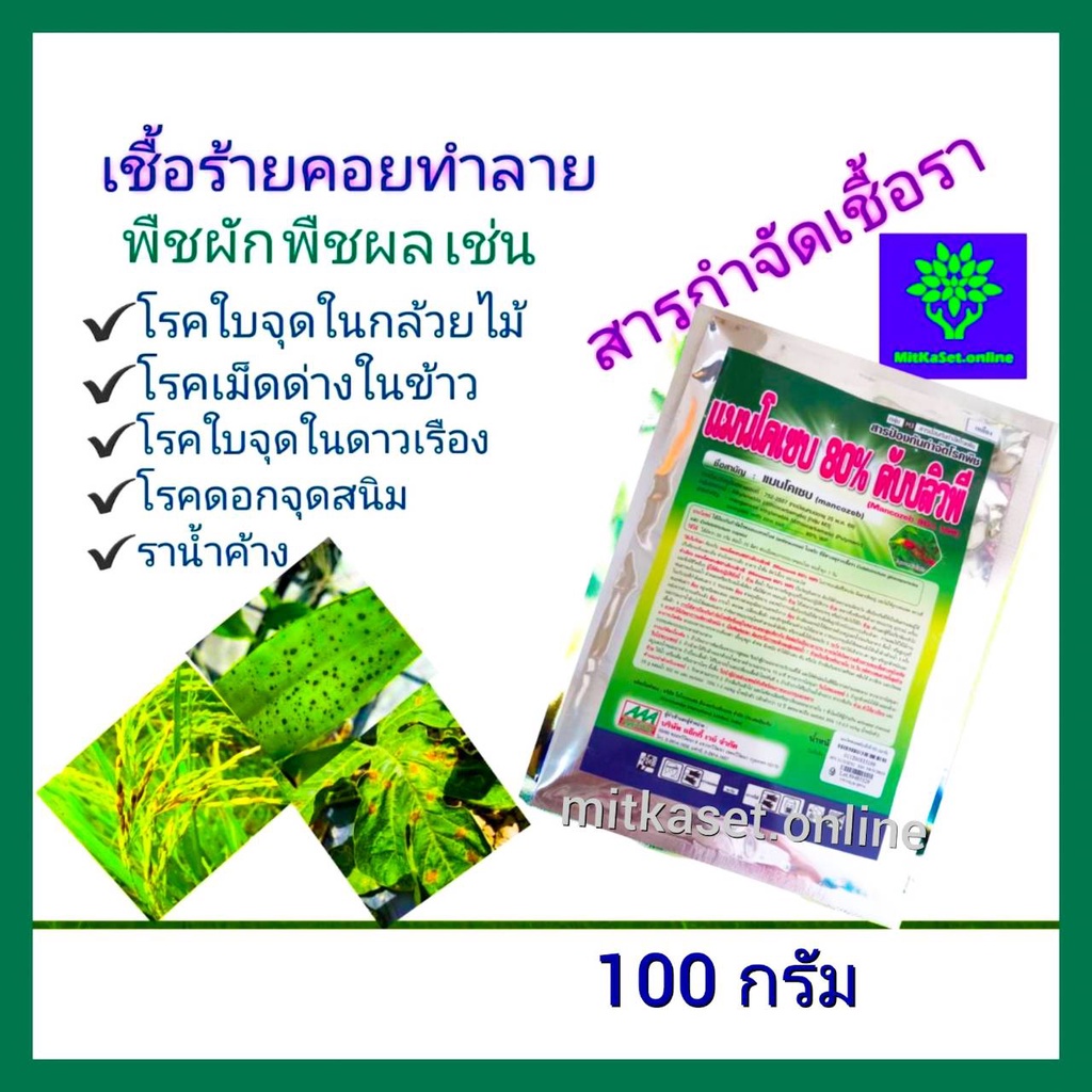 แมนโคเซบ กำจัดเชื้อรา ฆ่าเชื้อรา ยาเย็นขนาด 100 กรัม สารป้องกันกำจัดโรคพืช ใบไหม้ ใบจุด ราน้ำค้าง ราแป้งใช้ได้ทุกพืช