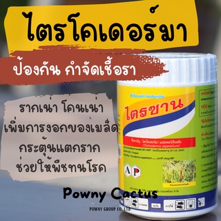 ไตรซาน ไตรโคเดอร์มา กำจัด ป้องกันเชื้อรา สารชีวภาพ