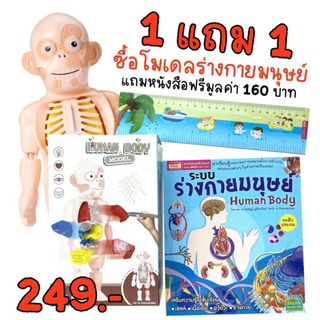 1 แถม 1 ได้ตามรูปเพียง 249 บาทของเล่นแนววิทยาศาสตร์ #HumanBody 249 บาท แถมหนังสือระบบร่างกายมนุษย์ มูลค่า 160 บาทฟรี