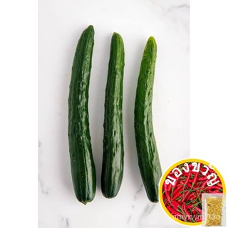 Japanese Cucumber Seeds头饰/芹菜/文胸/香菜/seeds/通心菜/生菜/向日葵/花园/男装/ ATJM