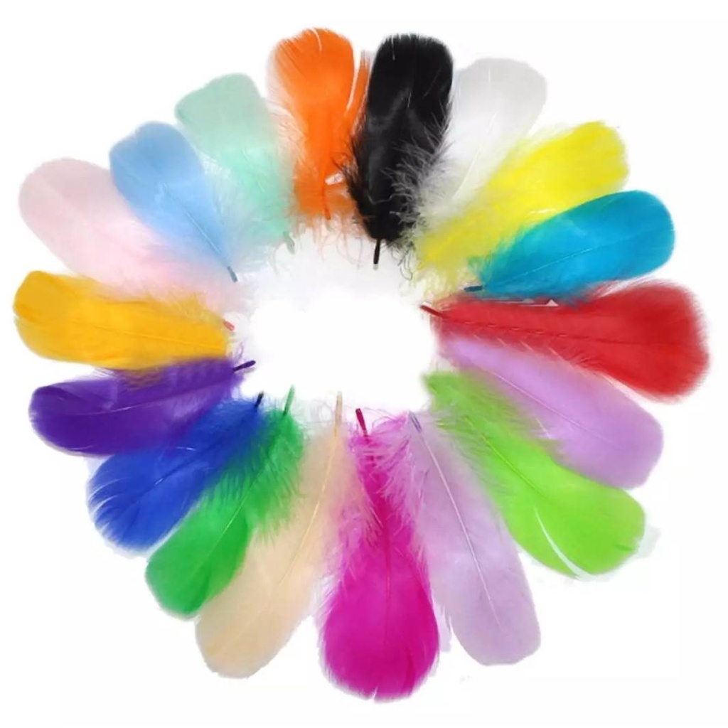 ขนนก (ขนนกก้านประดิษฐ์) DIY  แพ็ค 8-12 ชิ้น (ความยาว 20 ซม.) (ความยาว 15 ซม.) เลือกสีได้ ขนนกประดับ ขนนกพรอพถ่ายรูป​ - รูปที่ 2