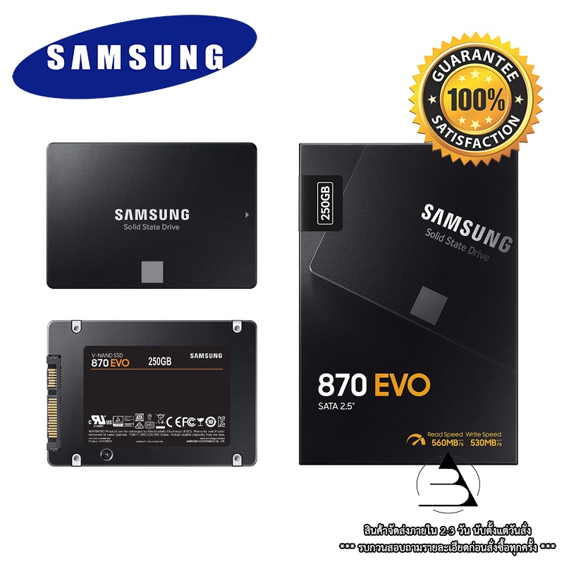 Samsung Electronics 870 EVO 250GB 2.5 Inch SATA III Internal SSD ...