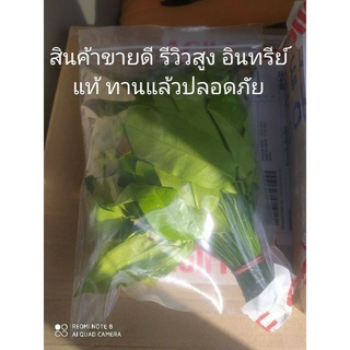 สั่ง ใบเหลียงปลอดสารพิษ ผักอินทรีย์ มีวิตามินบีสูง รอบส่งพุธ/เสาร์ เครมได้ถ้าเกิดปัญหาขนส่ง/ตัวสินค้า