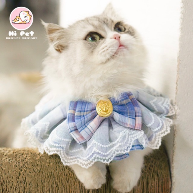 🇹🇭สินค้าพร้อมส่งจากไทย🇹🇭ปลอกคอสัตว์เลี้ยง ลูกไม้น่ารัก ผ้ากันเปื้อน