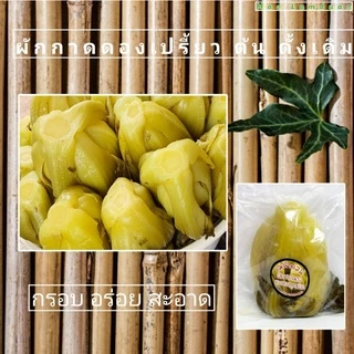 ผักกาดดองเปรี้ยวต้น(หัวดั้งเดิม)