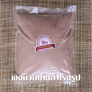 ผงบ๊วยเค็มสำเร็จรูป ตรา YES - [Plum Powder] - ผงบ๊วยแท้ 100% ผงบ๊วยฮาลาลพร้อมทาน