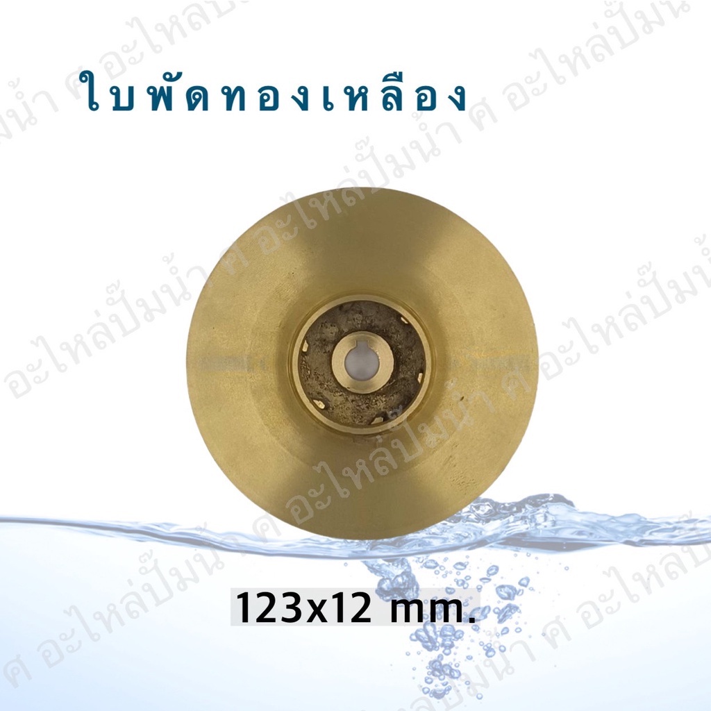ใบพัดน้ำทองเหลือง ปั๊มหอยโข่ง ( ขนาด123x12mm.) ใช้สำหรับปั๊มแช่,ปั๊มหอยโข่งไฟฟ้า และปั๊มทั่วไป ที่มีขนาดเท่ากัน