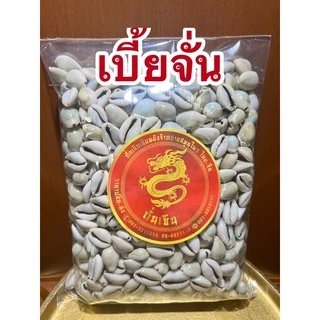 หอยเบี้ย เบี้ยจั่น เบี้ยจั่นหอยเบี้ยคละไซส์ขายยกถุงราคาไม่แพงมีทั้งสีธรรมดาและสีเหลืองนวลเงา