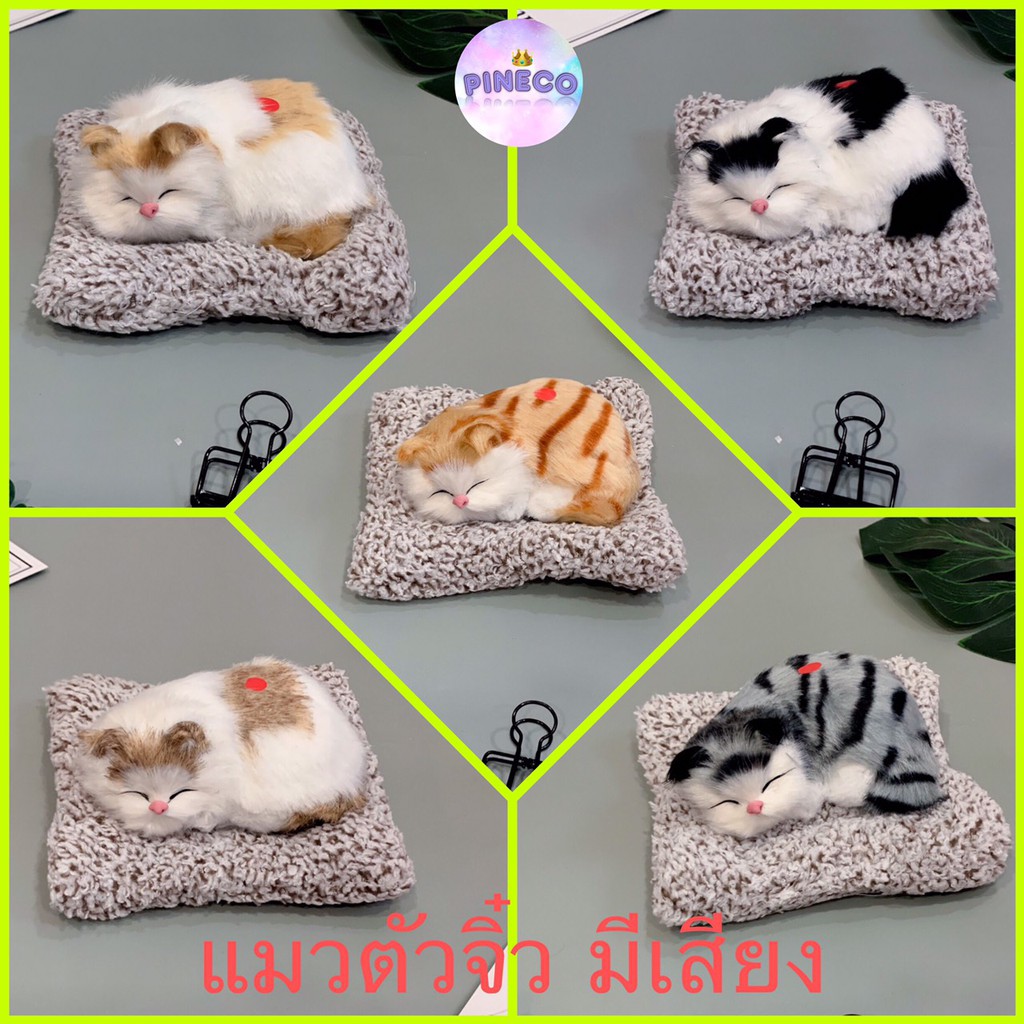 พร้อมส่ง!! 🐱🐱ตุ๊กตาแมวดูดกลิ่น ตุ๊กตาแมวดับกลิ่น ตุ๊กตาดูดกลิ่น รุ่นแมวแคระตัวจิ๋ว มีเสียงร้อง เหมียว เหมียว ราคาถูก 🐱🐱