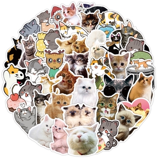 50Pcs/Set ❉ Cute Pets Cats Series 01 Cats Lovers สติ๊กเกอร์ ❉ DIY Fashion Mixed Waterproof Doodle Decals สติ๊กเกอร์