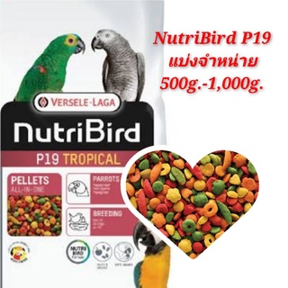 แบ่งจำหน่าย NutriBird P19 Repack