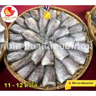 ปลาสลิดแดดเดียว เบอร์ 5 (ขนาด 11-12 ตัวโล) แพคซีลสูญญากาศ