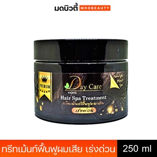 เดย์แคร์ ทรีทเม้นท์ ฟื้นฟูผมเสีย แบบเร่งด่วน Day care Hair Spa Treatment 250ml.