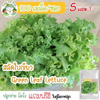 เมล็ดผักสลัด สลัดใบเขียว (Green Leaf Lettuce) 100 เมล็ด เมล็ดพันธุ์แท้ นำเข้าจากต่างประเทศ ปลูกง่าย โตไว ขายดี ถูก