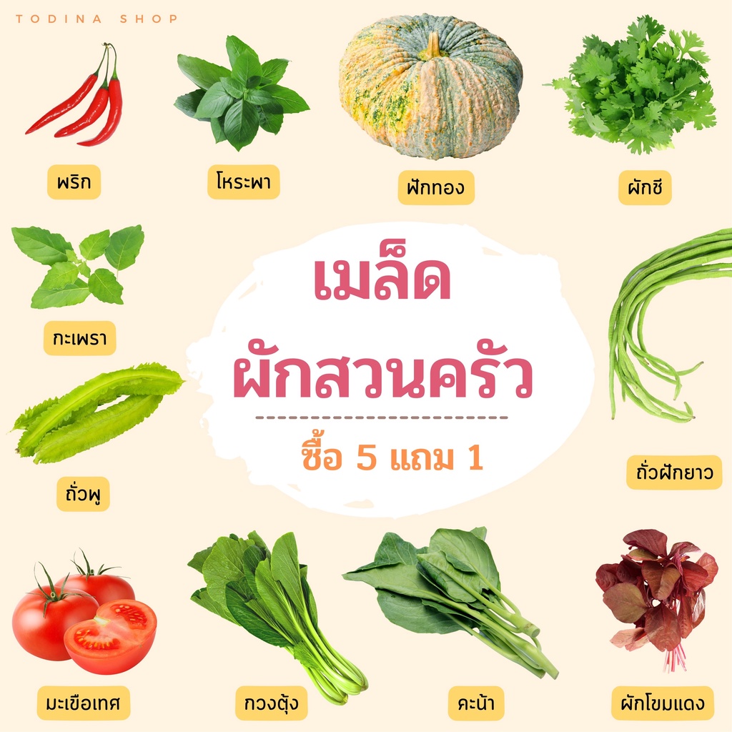 เมล็ดผักสวนครัว 1 ( ซื้อ 5 แถม 1) พริก ผักชี กวางตุ้ง ผักบุ้ง กะเพรา โหระพา ถั่วพู คะน้า บวบ มะเขือเทศ