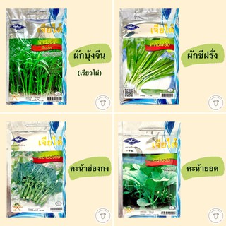 เมล็ดพันธุ์ผัก(ซอง) ผักบุ้งจีนเรียวไผ่ ผักชีฝรั่ง คะน้าฮ่องกง คะน้ายอด ตราเครื่องบิน เจียไต๋