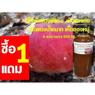 เชื้อเห็ดแดงหลวง (เห็ดแดงก่อ, เห็ดแดงน้ำหมาก, เห็ดอดงหมู่) ซื้อ 1 แถม 1 ขวด บรรจุ 500 ML.