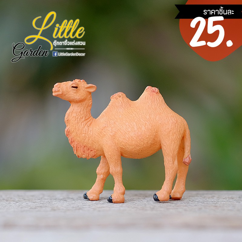 พร้อมส่งในไทย(#A) - ตุ๊กตาแต่งสวน อูฐทะเลทรายสำหรับแต่งสวน ขนาด4cm