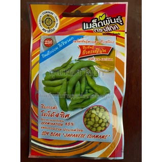 เมล็ดถั่วแรกญี่ปุ่น 10 แถม 1 ถั่วเเรกญี่ปุ่น ถั่วเเระ soy bean japanese edamame  เมล็ดพันธุ์ผัก