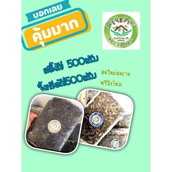 จิ้งหรีด​ไข่​ครึ่งโล+สดิ้งไข่ครึ่งโล​