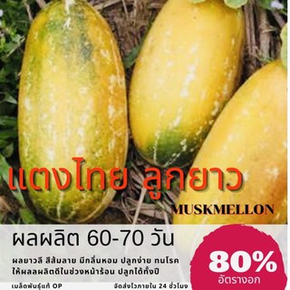 เมล็ดพันธุ์ แตงไทยลูกยาว แตงไทย (ซื้อ 10 แถม 1 คละอย่างได้)