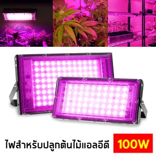 ไฟปลูกต้นไม้ LED ไฟปลูกต้นไม้ภายในอาคาร ไฟ Spotlight LED ไฟช่วยต้นไม้โตเร็ว ปลูกต้นไม้ ต้นไม้สวยโตเร็ว เร่งดอก เร่งใบ