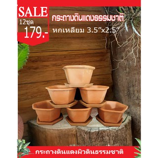 กระถางดินเผาแดงธรรมชาติหกเหลี่ยม3.5นิ้วสูง2นิ้ว