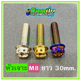 น็อตสแตนเลส หัวเจาะดอกไม้ ขนาดเกลียว m8 ยาว 30 mm.