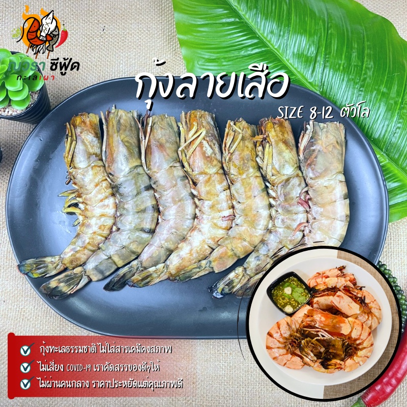 กุ้งลายเสือฟรีซสด 8-12 ตัวโล/แพ็ค พร้อมปรุง ส่งตรงจากแพระนอง ไม่ผ่านคนกลาง By ณวรา ซีฟู้ด