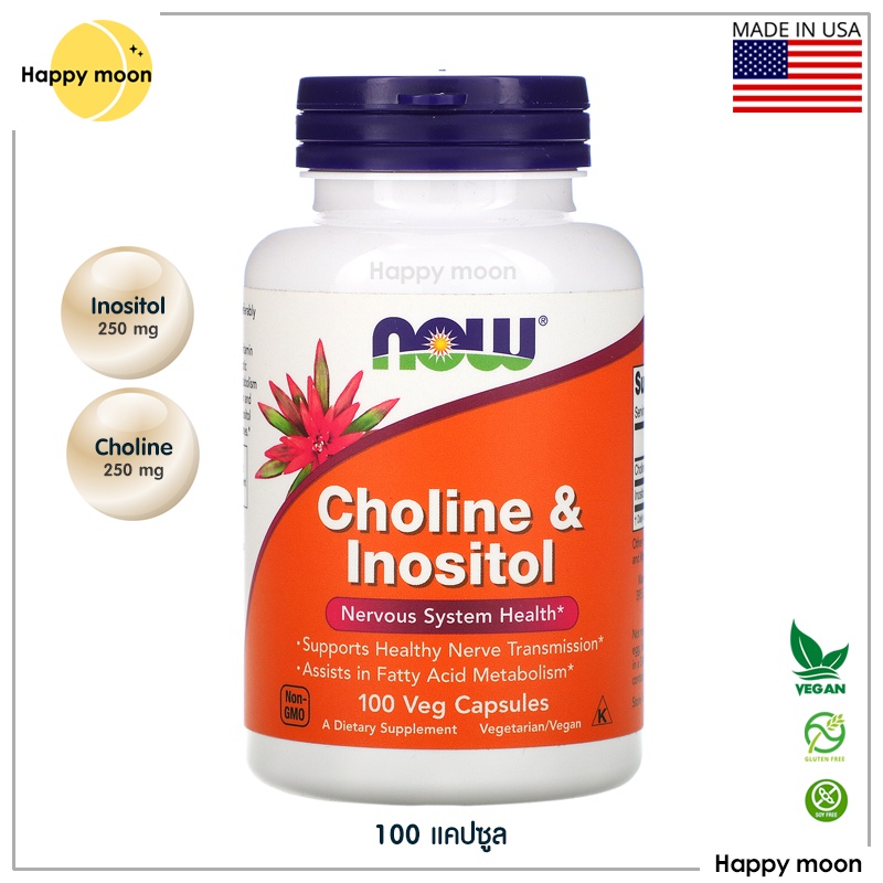 Now Foods, Choline & Inositol, 100 Veg Capsules