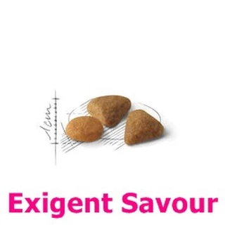 Royal Canin Exigent Aroma / Protein / Savour 4kg อาหารแมว สูตรแมวกินยาก 4กก. มี 3 แบบ ให้เลือก